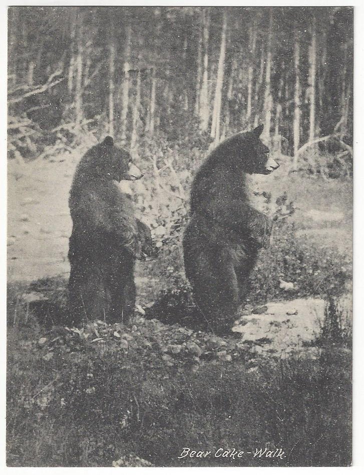 Item #10122 Yellowstone Postcard Checklist Collection. Yellowstone