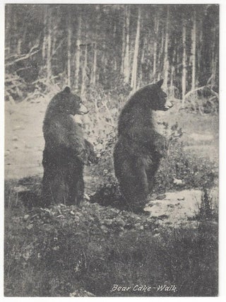 Item #10122 Yellowstone Postcard Checklist Collection. Yellowstone