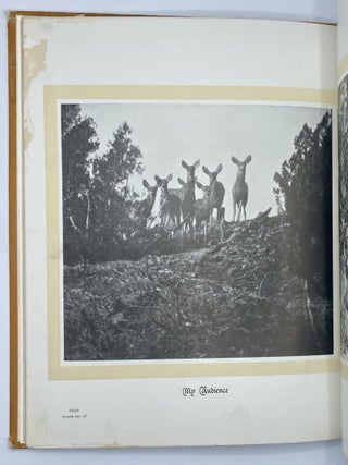 Hoofs, Claws and Antlers of the Rocky Mountains by the Camera