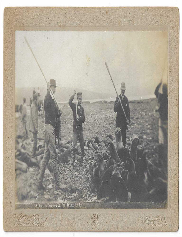 Item #10337 Killing Fur Seals on St. Paul Island, Alaska. Lloyd Winter, E. Percy