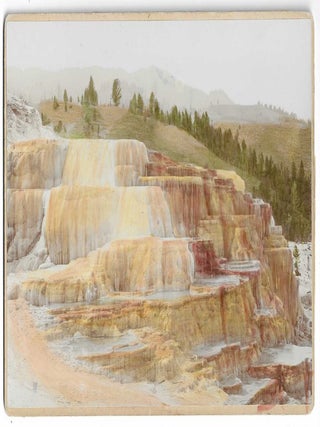 Water Color Photographs (Hand Painted) Yellowstone National Park.