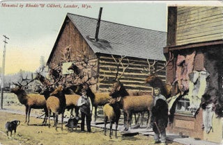 Charles 'Charlie' Edward Morris Post Card Collection of Cowboys, Cowgirls, and Native Americans