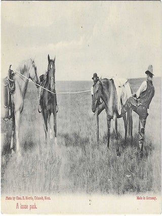 Charles 'Charlie' Edward Morris Post Card Collection of Cowboys, Cowgirls, and Native Americans