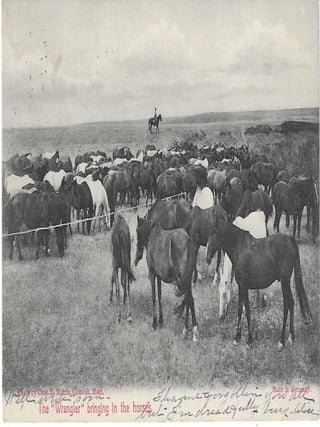 Charles 'Charlie' Edward Morris Post Card Collection of Cowboys, Cowgirls, and Native Americans