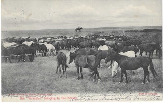 Charles 'Charlie' Edward Morris Post Card Collection of Cowboys, Cowgirls, and Native Americans