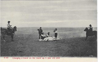 Charles 'Charlie' Edward Morris Post Card Collection of Cowboys, Cowgirls, and Native Americans