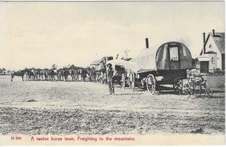 Charles 'Charlie' Edward Morris Post Card Collection of Cowboys, Cowgirls, and Native Americans