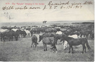 Charles 'Charlie' Edward Morris Post Card Collection of Cowboys, Cowgirls, and Native Americans