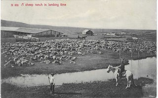 Charles 'Charlie' Edward Morris Post Card Collection of Cowboys, Cowgirls, and Native Americans