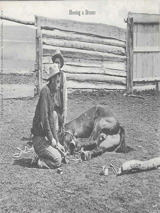 Charles 'Charlie' Edward Morris Post Card Collection of Cowboys, Cowgirls, and Native Americans