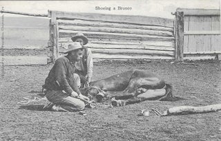 Charles 'Charlie' Edward Morris Post Card Collection of Cowboys, Cowgirls, and Native Americans