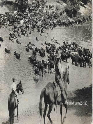 Charles 'Charlie' Edward Morris Post Card Collection of Cowboys, Cowgirls, and Native Americans