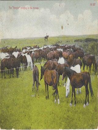 Charles 'Charlie' Edward Morris Post Card Collection of Cowboys, Cowgirls, and Native Americans