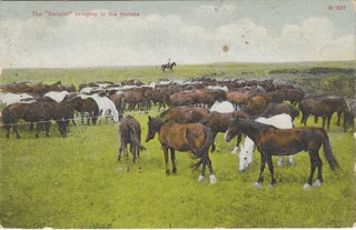 Charles 'Charlie' Edward Morris Post Card Collection of Cowboys, Cowgirls, and Native Americans