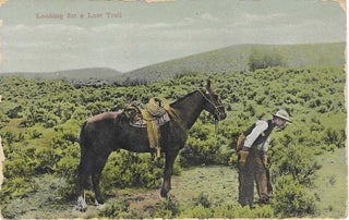 Charles 'Charlie' Edward Morris Post Card Collection of Cowboys, Cowgirls, and Native Americans