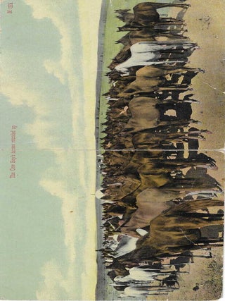 Charles 'Charlie' Edward Morris Post Card Collection of Cowboys, Cowgirls, and Native Americans