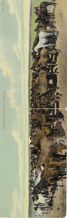 Charles 'Charlie' Edward Morris Post Card Collection of Cowboys, Cowgirls, and Native Americans