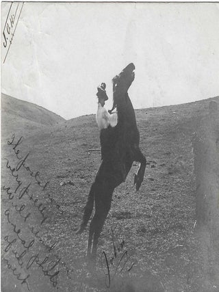 Charles 'Charlie' Edward Morris Post Card Collection of Cowboys, Cowgirls, and Native Americans