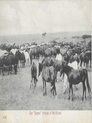 Charles 'Charlie' Edward Morris Post Card Collection of Cowboys, Cowgirls, and Native Americans