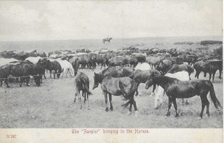 Charles 'Charlie' Edward Morris Post Card Collection of Cowboys, Cowgirls, and Native Americans