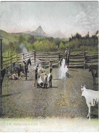 Charles 'Charlie' Edward Morris Post Card Collection of Cowboys, Cowgirls, and Native Americans