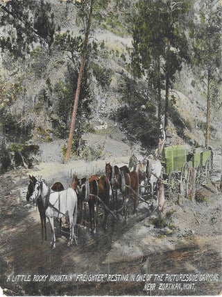 Charles 'Charlie' Edward Morris Post Card Collection of Cowboys, Cowgirls, and Native Americans