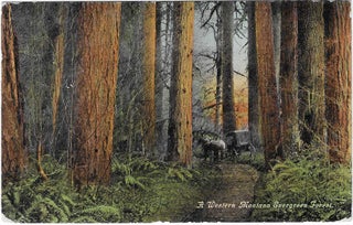 Charles 'Charlie' Edward Morris Post Card Collection of Cowboys, Cowgirls, and Native Americans