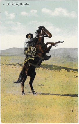 Charles 'Charlie' Edward Morris Post Card Collection of Cowboys, Cowgirls, and Native Americans