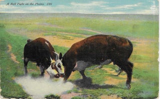 Charles 'Charlie' Edward Morris Post Card Collection of Cowboys, Cowgirls, and Native Americans