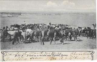 Charles 'Charlie' Edward Morris Post Card Collection of Cowboys, Cowgirls, and Native Americans