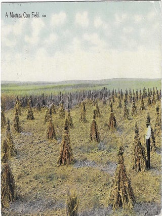 Charles 'Charlie' Edward Morris Post Card Collection of Cowboys, Cowgirls, and Native Americans