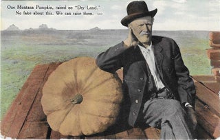 Charles 'Charlie' Edward Morris Post Card Collection of Cowboys, Cowgirls, and Native Americans