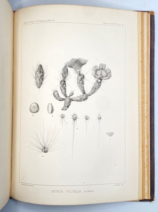 Report of Explorations Across the Great Basin of the Territory of Utah for a Direct Wagon-Route from Camp Floyd to Genoa, in Carson Valley, in 1859