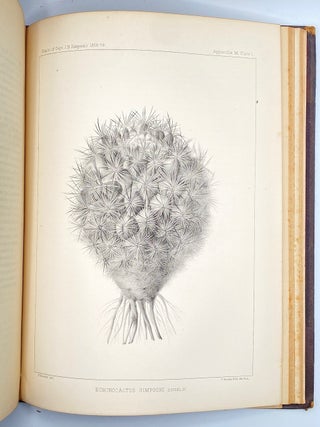 Report of Explorations Across the Great Basin of the Territory of Utah for a Direct Wagon-Route from Camp Floyd to Genoa, in Carson Valley, in 1859