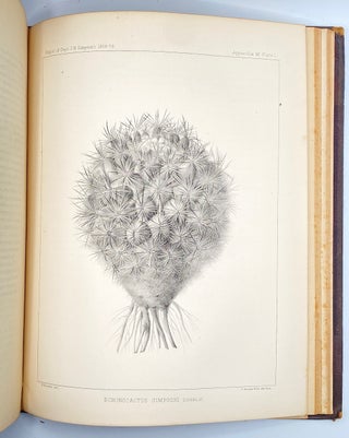 Report of Explorations Across the Great Basin of the Territory of Utah for a Direct Wagon-Route from Camp Floyd to Genoa, in Carson Valley, in 1859