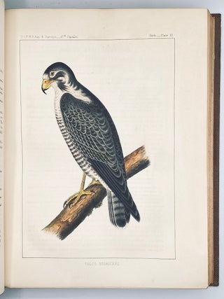 The Natural History of Washington Territory, with Much Relating to Minnesota, Nebraska, Kansas, Oregon, and California, Between the Thirty-Sixth and Forty-Ninth Parallels of Latitude