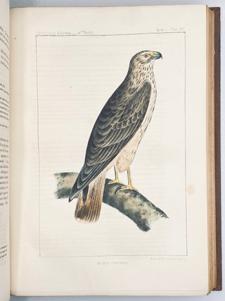 The Natural History of Washington Territory, with Much Relating to Minnesota, Nebraska, Kansas, Oregon, and California, Between the Thirty-Sixth and Forty-Ninth Parallels of Latitude
