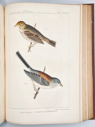 The Natural History of Washington Territory, with Much Relating to Minnesota, Nebraska, Kansas, Oregon, and California, Between the Thirty-Sixth and Forty-Ninth Parallels of Latitude