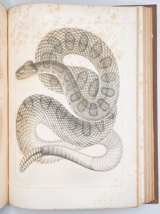 The Natural History of Washington Territory, with Much Relating to Minnesota, Nebraska, Kansas, Oregon, and California, Between the Thirty-Sixth and Forty-Ninth Parallels of Latitude