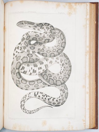 The Natural History of Washington Territory, with Much Relating to Minnesota, Nebraska, Kansas, Oregon, and California, Between the Thirty-Sixth and Forty-Ninth Parallels of Latitude