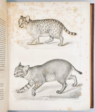 The Natural History of Washington Territory, with Much Relating to Minnesota, Nebraska, Kansas, Oregon, and California, Between the Thirty-Sixth and Forty-Ninth Parallels of Latitude
