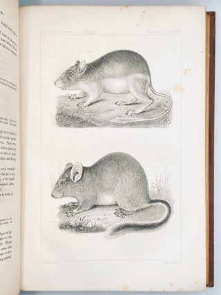 The Natural History of Washington Territory, with Much Relating to Minnesota, Nebraska, Kansas, Oregon, and California, Between the Thirty-Sixth and Forty-Ninth Parallels of Latitude