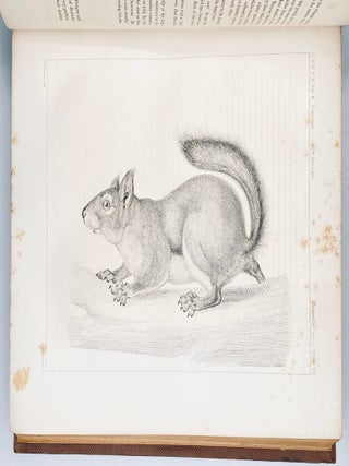 The Natural History of Washington Territory, with Much Relating to Minnesota, Nebraska, Kansas, Oregon, and California, Between the Thirty-Sixth and Forty-Ninth Parallels of Latitude