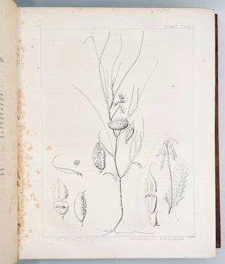 The Natural History of Washington Territory, with Much Relating to Minnesota, Nebraska, Kansas, Oregon, and California, Between the Thirty-Sixth and Forty-Ninth Parallels of Latitude