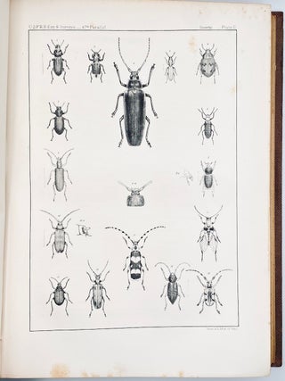 The Natural History of Washington Territory, with Much Relating to Minnesota, Nebraska, Kansas, Oregon, and California, Between the Thirty-Sixth and Forty-Ninth Parallels of Latitude