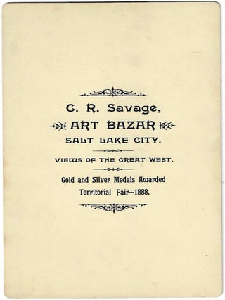Garfield Beach. Salt Lake City. U+N. Ry.