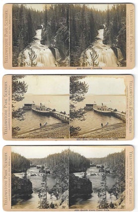 12 Yellowstone Stereoviews