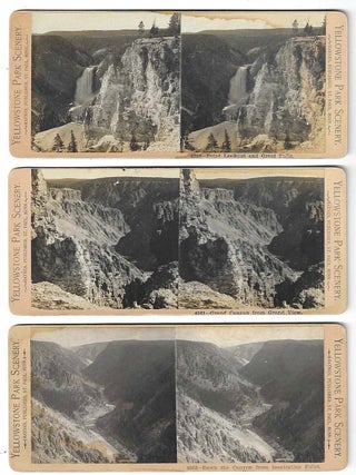 12 Yellowstone Stereoviews