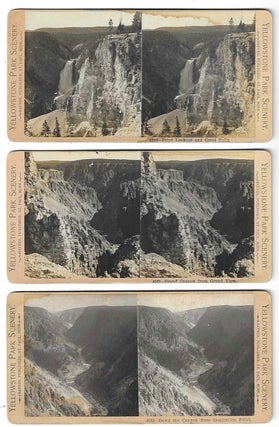 12 Yellowstone Stereoviews