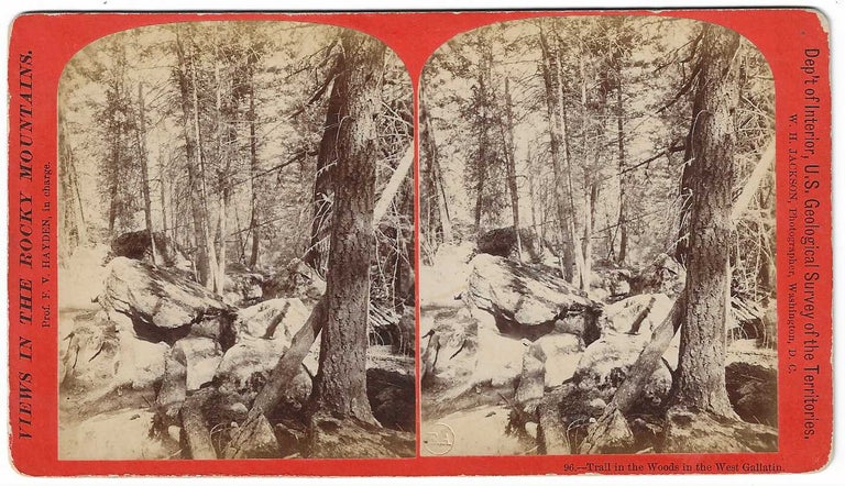Item #6393 Trail in the Woods in the West Gallatin. William Henry Jackson.
